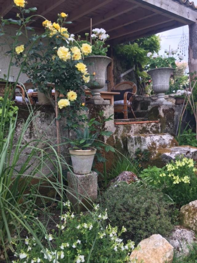 Bed and Breakfast Chez Brown Saint-Thomas-de-Conac Экстерьер фото